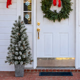 4.5 Ft. Silverwood Pine Potted Porch Tree