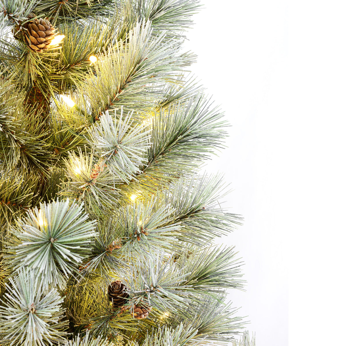 4.5 Ft. Silverwood Pine Potted Porch Tree