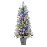 4.5 Ft. Silverwood Pine Potted Porch Tree
