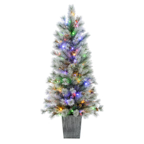 4.5 Ft. Silverwood Pine Potted Porch Tree