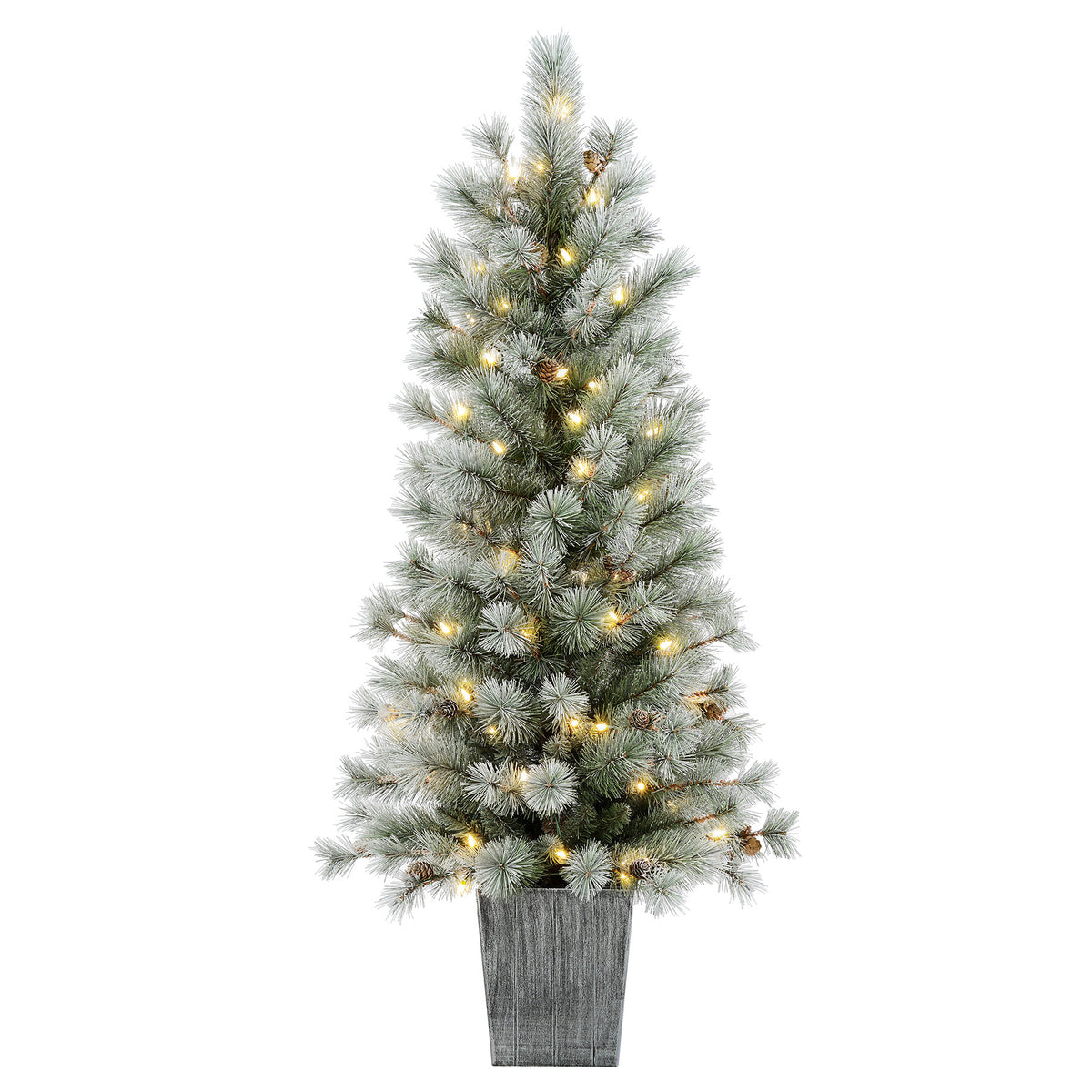 4.5 Ft. Silverwood Pine Potted Porch Tree