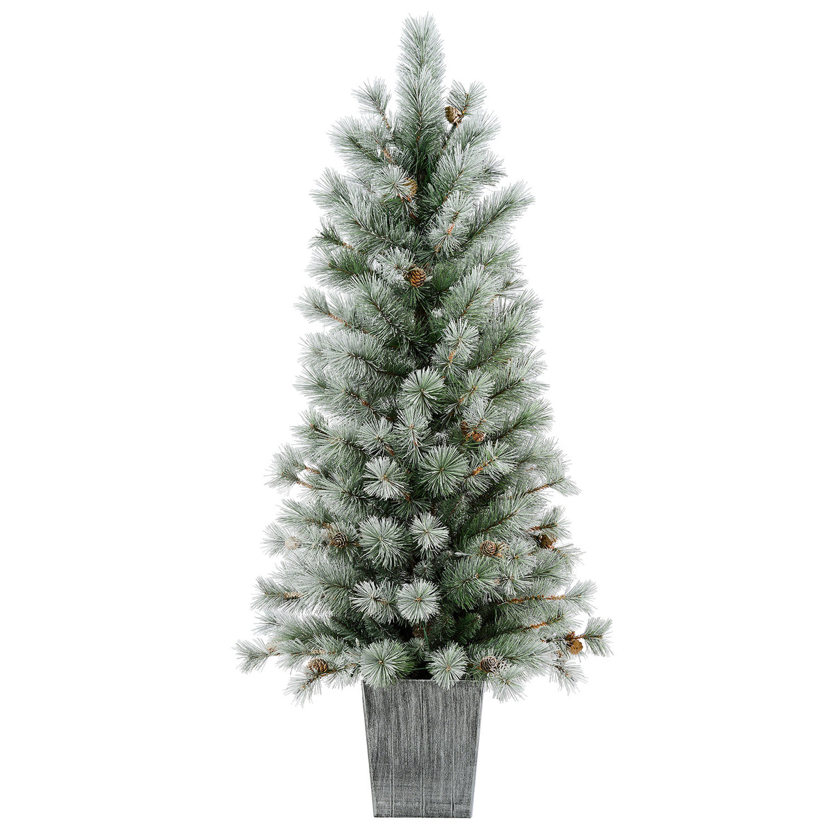 4.5 Ft. Silverwood Pine Potted Porch Tree