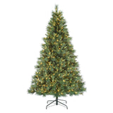 Longmont Spruce 7.5 Ft. Christmas Tree with 2 Light Settings, Including Twinkle