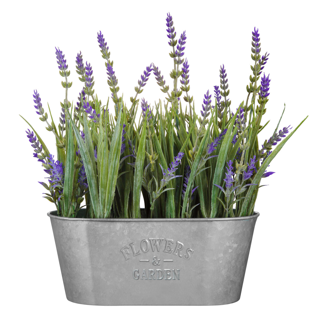 10 Inch Lavender in Galvanized Metal Pot