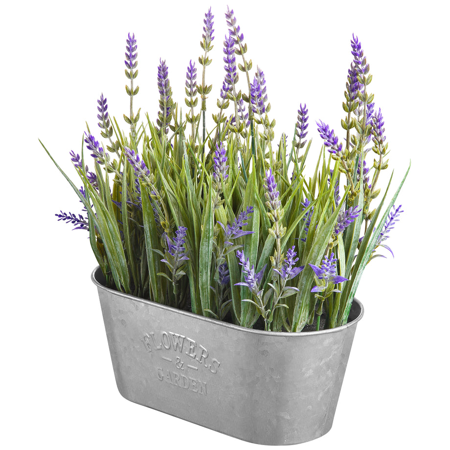 lavender plant decor Haute Decor 10 Inch Lavender in Galvanized Metal Pot