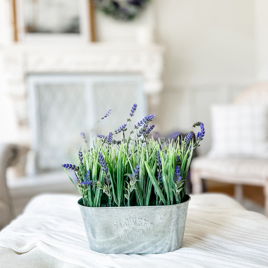 decorative lavender plants Haute Decor 10 Inch Lavender in Galvanized Metal Pot