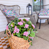 Wild Geranium Urn Filler with Adjustable Height