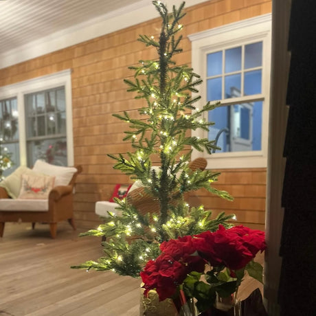 5 Foot Pre-lit Timberland Fir Potted Christmas Tree