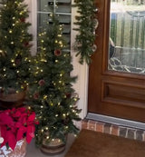 4 Foot Tall Whiskey Barrel Potted Trees with Real Pinecones (Set of 2 Potted Trees)