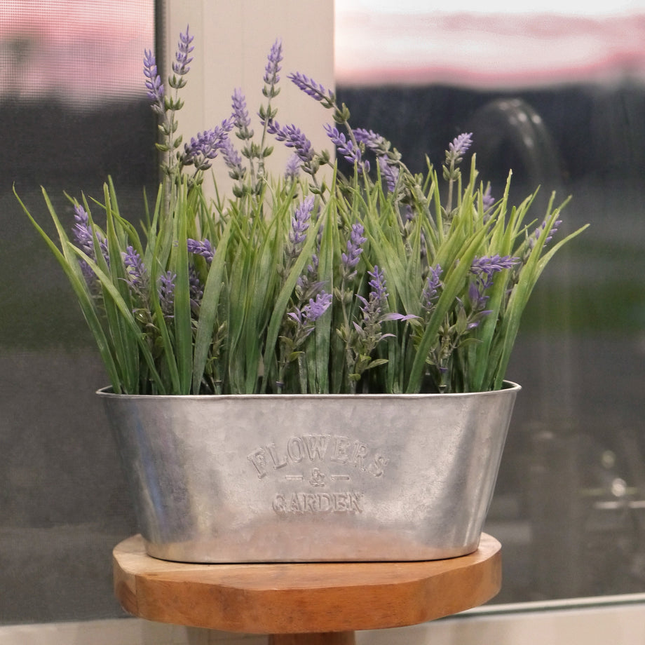 planter lavender Haute Decor 10 Inch Lavender in Galvanized Metal Pot