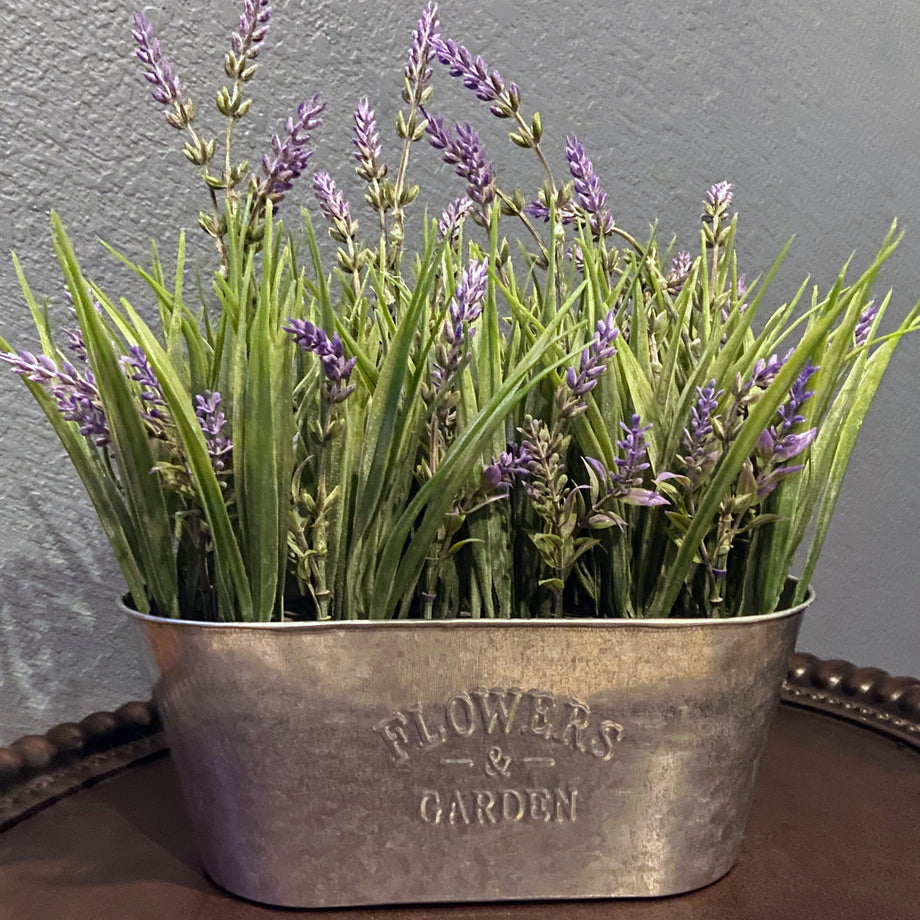 planter lavender Haute Decor 10 Inch Lavender in Galvanized Metal Pot