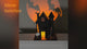 Halloween Haunted House with Bat Projection