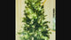 7.5 Ft. Grand Bank PE Slim Christmas Tree with 8 Function Color Changing LED Lights, and Quick Shape Technology