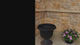 Wild Geranium Urn Filler with Adjustable Height