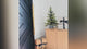 30 Inch Prelit Fraser Fir Potted Tree in Wooden Pot