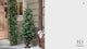 4 Foot Pre-lit Carolina Porch Christmas Tree