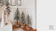 Snow Capped 30 Inch Tall Unlit Alpine Tree with Wrapped Burlap Base