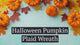 24 Inch Pre-lit Halloween Pumpkin Plaid Wreath