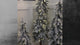 5 Foot Lightly Flocked Alpine Tree Pre-Lit Warm LED Lights with Timer