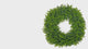 24 Inch Premium Artificial Boxwood Wreath - 100% Recycled Plastic & Natural Grapevine