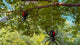 SpiderBites™ Unique Halloween Décor Hanger