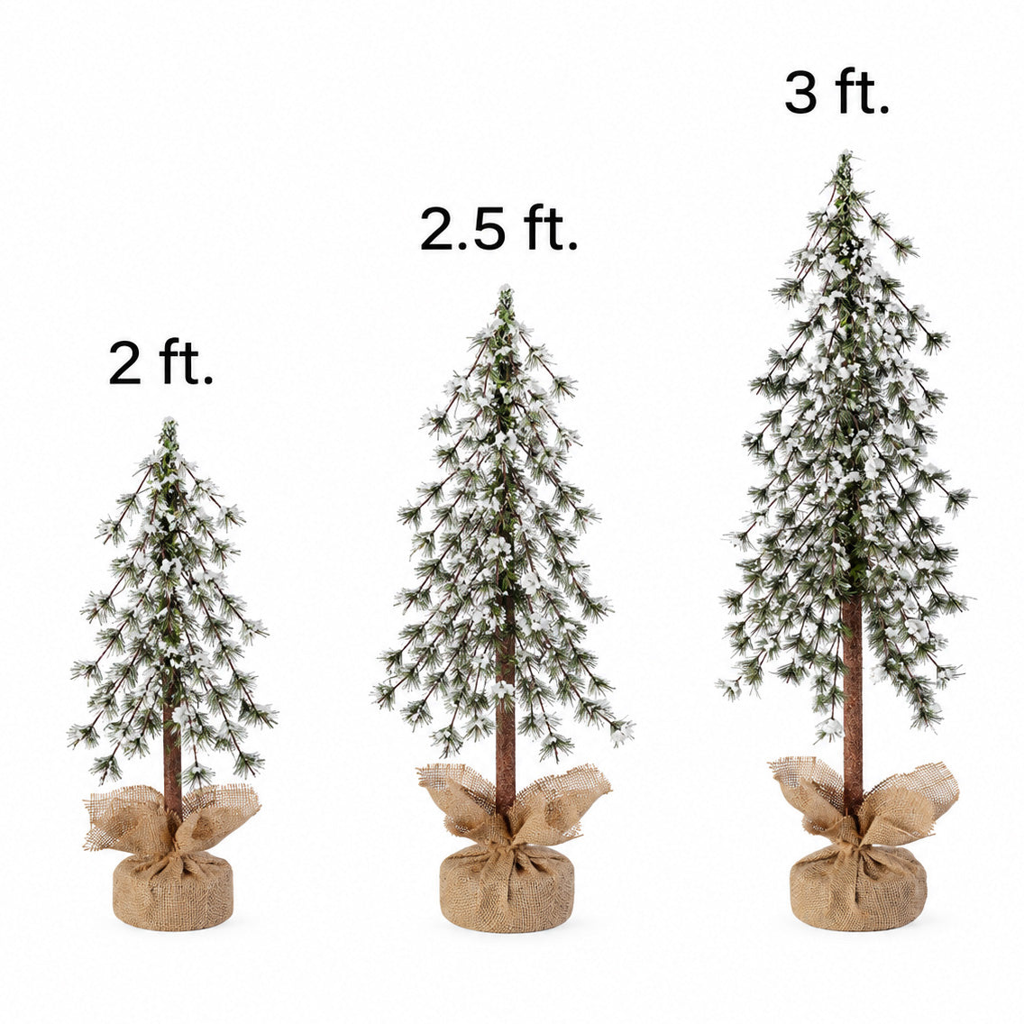 Set of 3 Snow Capped Unlit Alpine Trees with Wrapped Burlap Bases - 24 in., 30 in., and 36 in. Sizes