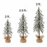 Set of 3 Snow Capped Unlit Alpine Trees with Wrapped Burlap Bases - 24 in., 30 in., and 36 in. Sizes
