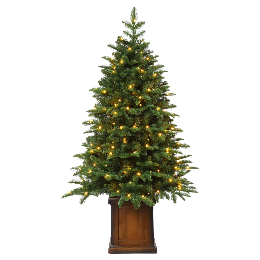 4.5 Foot Noble Fir Potted Tree