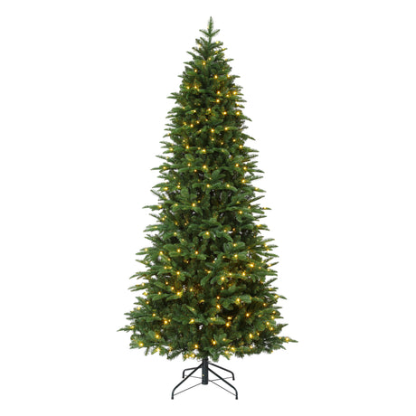 7.5 Foot Noble Fir Tree