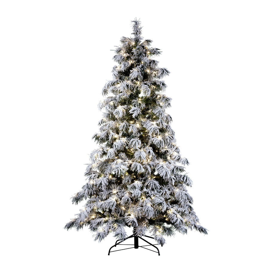 pre dressed christmas tree National Tree Company 6 ft. Frasier Grande Tree with Dual Color LED Lights, Green main image 0