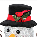 Seasonal & Holiday Decorations - 18 Inch Spun Acrylic Snowman With LED Lights