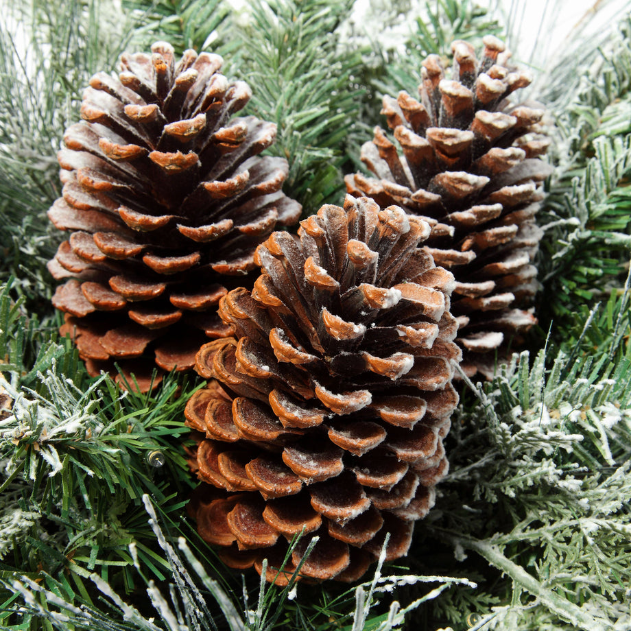 プロテアニオベとスターチスのナチュラル春色スワッグ・ブーケ (36㎝)